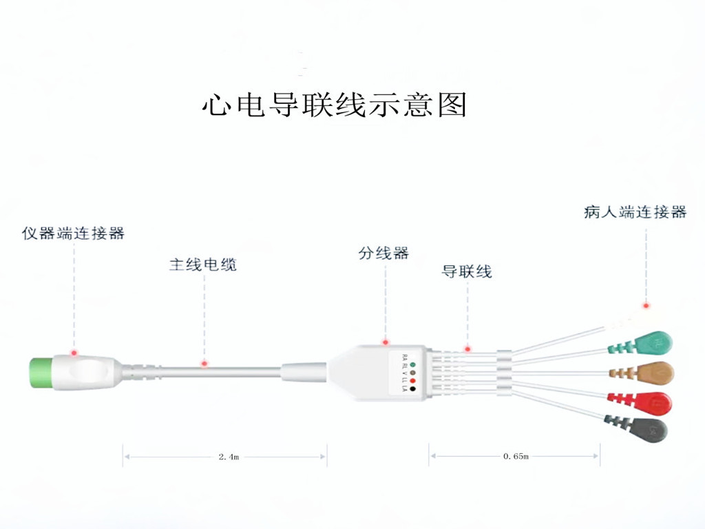 久久99久久久久水蜜桃心电导联线