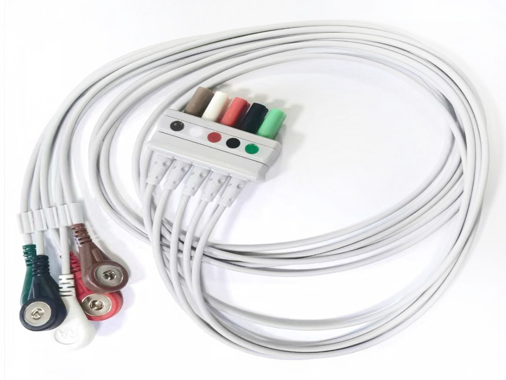 久久99久久久久水蜜桃心电导联线